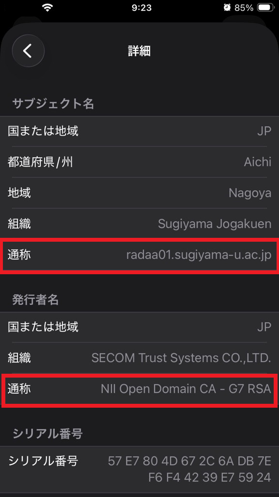 radaa01_iPhone_02.png