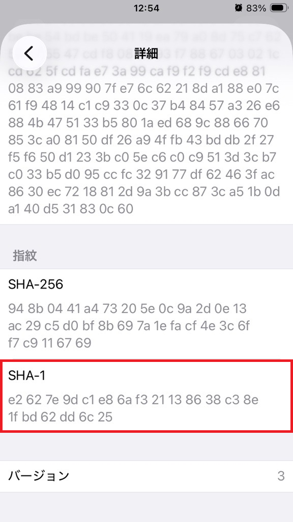 radaa01_iPhone_07.png